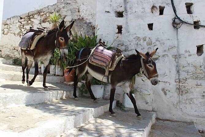 Rhodes, Lindos and Medieval City Guided Tour from Cruise Port - FAQs