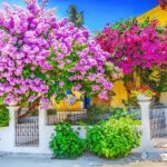 Rhodes Self Drive 4x4 Offroad Adventure with Gourmet Lunch - What We Love About This Tour