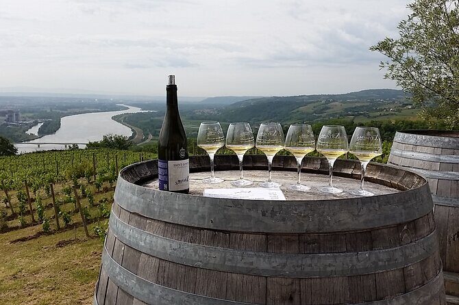 Rhône Valley Wine Tasting Private Day Tour from Lyon - Who Would Love This Tour?