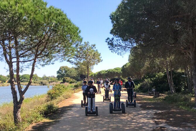 Ria Formosa Natural Park Birdwatching Segway Tour from Faro - How the Experience Comes to Life