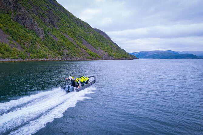 RIB Expedition to Seiland National Park - 3.5h - Who Is This Tour Best Suited For?