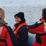 RIB Whale Watching Small-Group Boat Tour from Reykjavik - FAQ