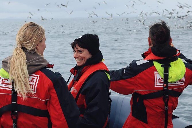 RIB Whale Watching Small-Group Boat Tour from Reykjavik - FAQ