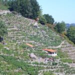 Ribeira Sacra From Lugo - An Overview of the Ribeira Sacra Tour from Lugo