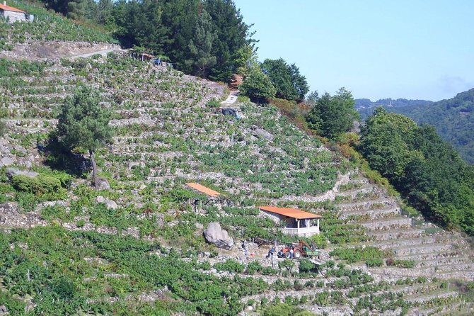Ribeira Sacra From Lugo - An Overview of the Ribeira Sacra Tour from Lugo