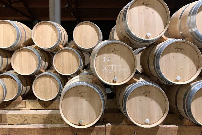 Ribera del Duero Small Group Tour: Tapas & Wine Tasting - The Wineries and Tasting Experience