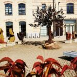 Riga Jewish History Tour - What to Expect: Transportation, Timing, and Overall Experience