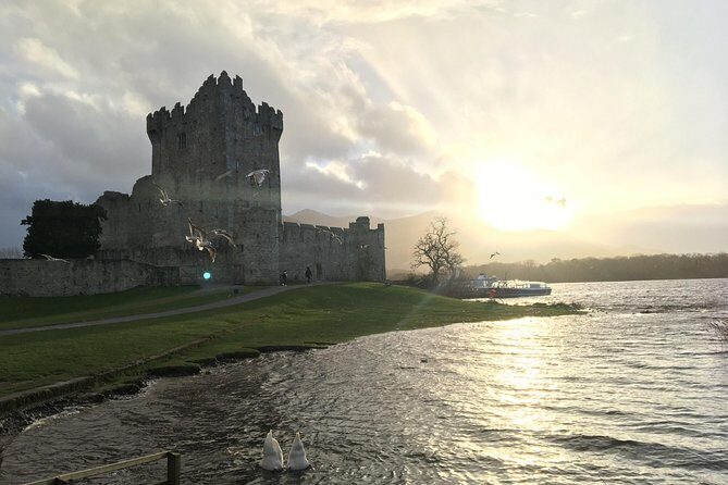 Ring of Kerry Tour Private Chauffeur Driven From Killarney Luxury - Who Will Love This Tour?