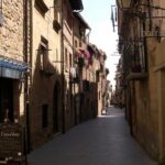 Rioja wine region with visit to winery & Vitoria-Gasreiz - Final Thoughts: Is This Tour Right for You?