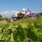 Rioja Wine Tour: Winery & Traditional Lunch From Bilbao - The Day in Detail: Breaking Down the Itinerary