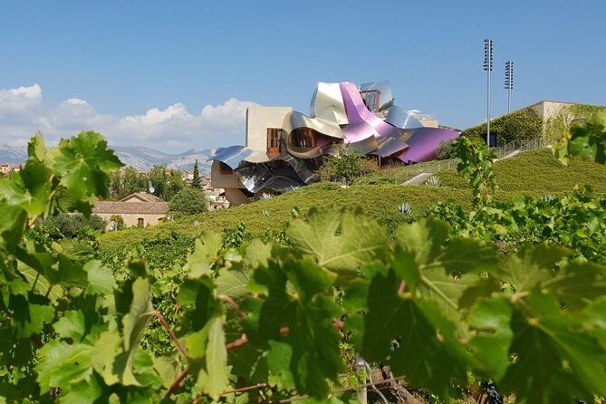 Rioja Wine Tour: Winery & Traditional Lunch From Bilbao - The Day in Detail: Breaking Down the Itinerary