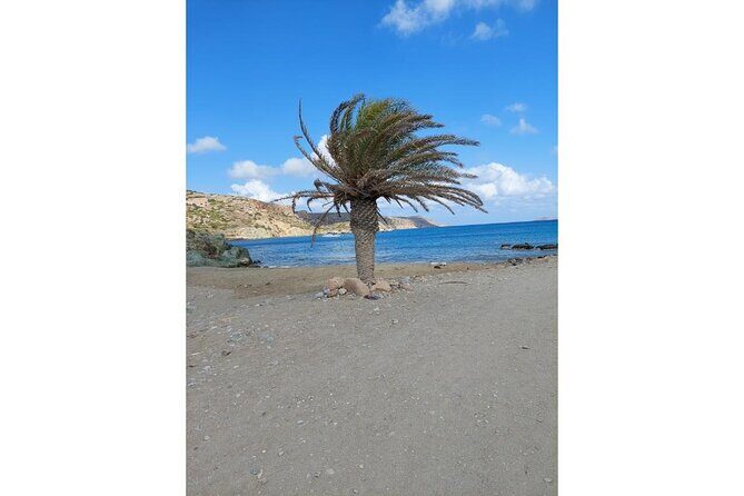 RIVIERA - Vai Palm Beach, Toplou Monastery - Who Is This Tour Best Suited For?