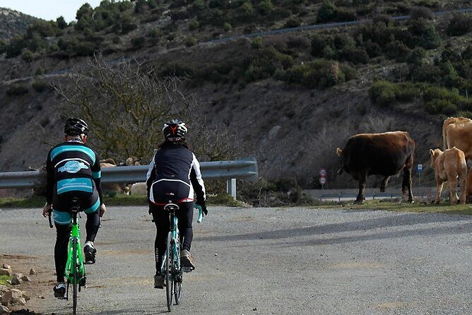 Road, Trekking or E-bike Bike Rental in Cagliari - The Sum Up