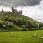 Rock Of Cashel And Blarney Castle Private Chauffeur Full Day Sightseeing Tour - What’s Included & What to Consider