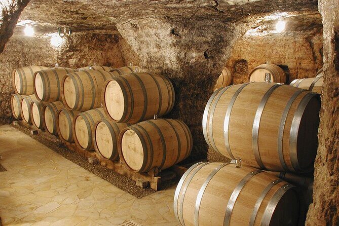 Roman heritages and Chateauneuf du Pape Wine Tour from Avignon - The Experience: What Travelers Say