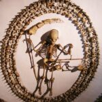 Rome: Capuchin Crypts Guided Tour Small-Group or Private - The Value of a Guided Tour