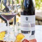 Rome to Pompeii Guided Tour with Wine & Lunch by High Speed Train - A Full Breakdown of the Tour Experience