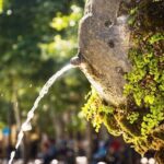 Rosé All Day Tour ! - Who is This Tour Best For?