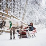 Rovaniemi 2 days Activities Package - What Travelers Are Saying