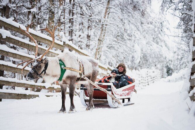 Rovaniemi 2 days Activities Package - What Travelers Are Saying