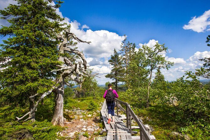 Rovaniemi: Korouoma Canyon Hike and Barbecue Experience - What to Expect on the Tour