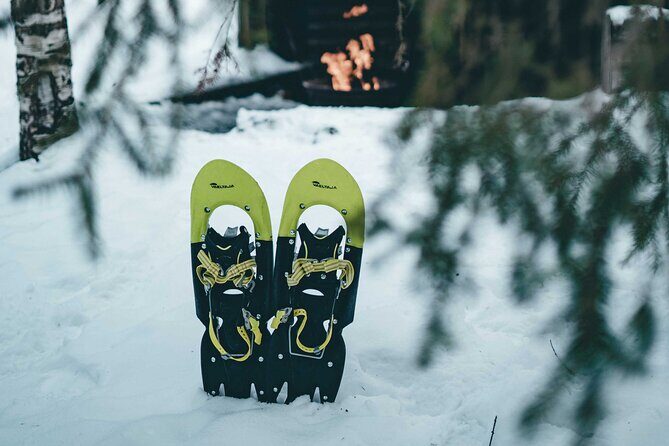 Rovaniemi: Snowshoeing in a magical snowy forest - Practical Details: Price, Meeting, and Flexibility