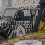 Safari & Boat Tour - Mountains & Dolphins - Why This Tour Offers Great Value