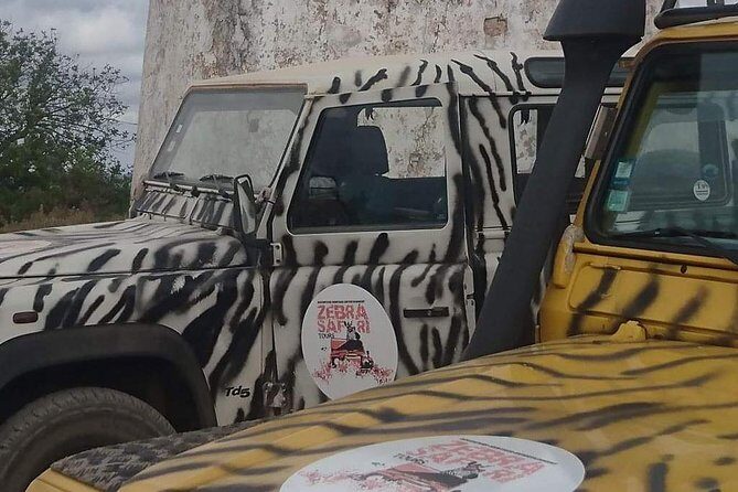 Safari & Boat Tour - Mountains & Dolphins - Why This Tour Offers Great Value