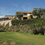 Sailing and Wine Tasting Experience Small Group in Barcelona - The Practicalities