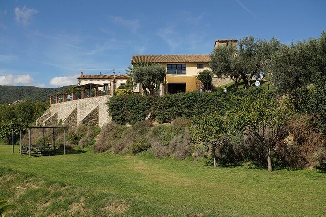 Sailing and Wine Tasting Experience Small Group in Barcelona - The Practicalities