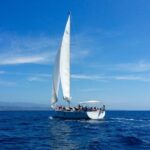 Sailing day trip - Why the Reviews Love This Experience
