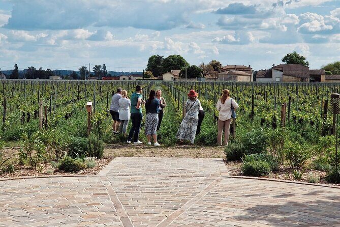 Saint-Emilion Afternoon Tour - 2 Wineries, tastings & delicacies - What Travelers Say