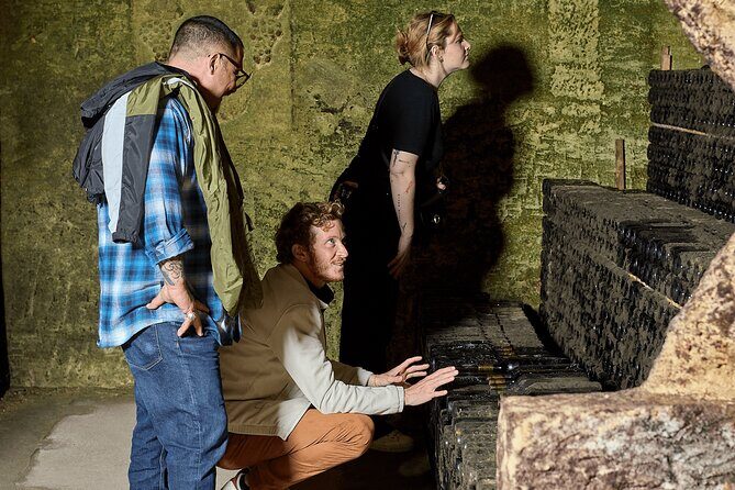 Saint-Émilion day tour: village visit, Châteaux and lunch - Visiting the Wineries and Tastings