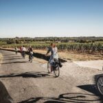 Saint-Emilion Electric Bike Day Tour with Wine Tastings & Lunch - The Itinerary in Detail