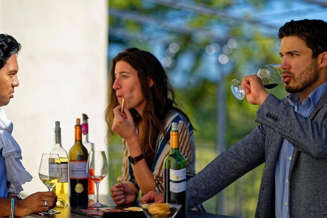 Saint-Emilion Grand Cru Classé: Visit & Tasting in English - Who Is This Tour Best Suited For?