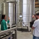 Saint-Émilion Wine Tour By Premium Electric Bike, Lunch Included - Who Is This Tour Best For?