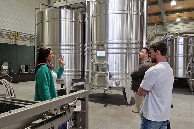 Saint-Émilion Wine Tour By Premium Electric Bike, Lunch Included - Who Is This Tour Best For?