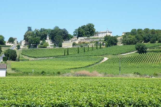 Saint Emilion Wine Tour Tasting Half Day from Bordeaux - Considerations and Downsides