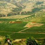 Salt Mine , Lunch at Winery Dracula Grave- Private Tour - Who Should Consider This Tour?