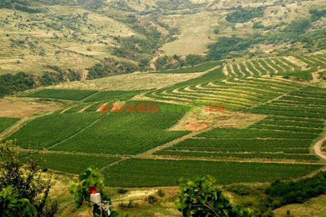 Salt Mine , Lunch at Winery Dracula Grave- Private Tour - Who Should Consider This Tour?