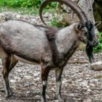 Samaria Gorge Hiking Day Tour From Rethymno - Costs and What You’re Paying For