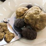 San Gimignano Truffle Hunt & Truffle Cooking Class - Authentic Experiences Highlighted by Reviewers