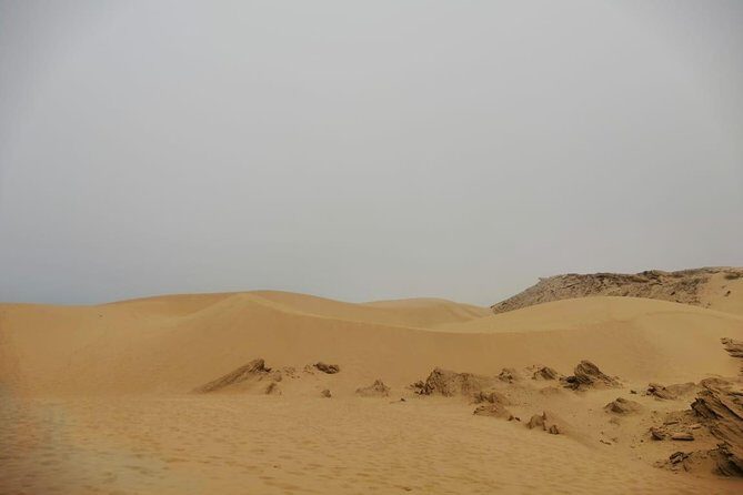 Sandboarding guided experience from Agadir - The Highlights That Keep Travelers Coming Back