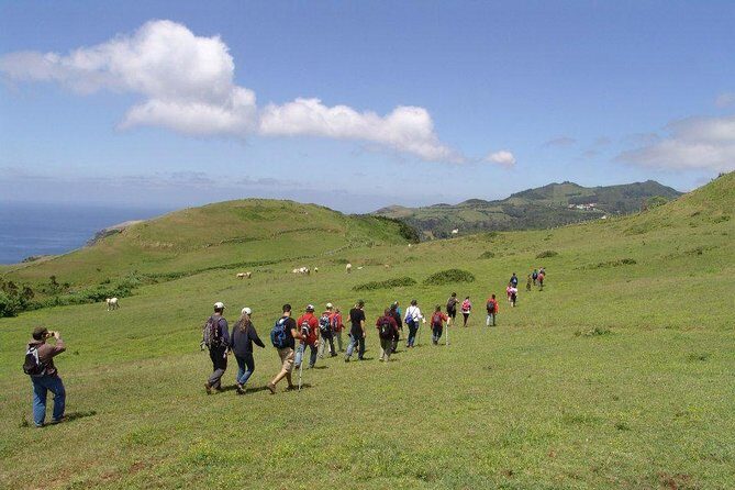 Santa Maria - Walking Tour Guide - Who Should Sign Up?