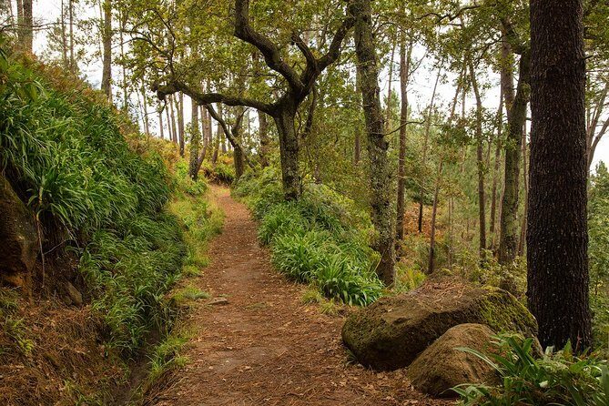 SANTANA Combo Expedition (Jeep & Levada Walk) - Shared Tour - Who Will Love This Tour?