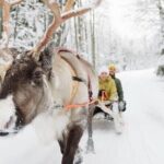 Santa's Reindeer & Husky Safari + Santa's Pets + Aurora Hunt! - Authentic Feedback from Travelers
