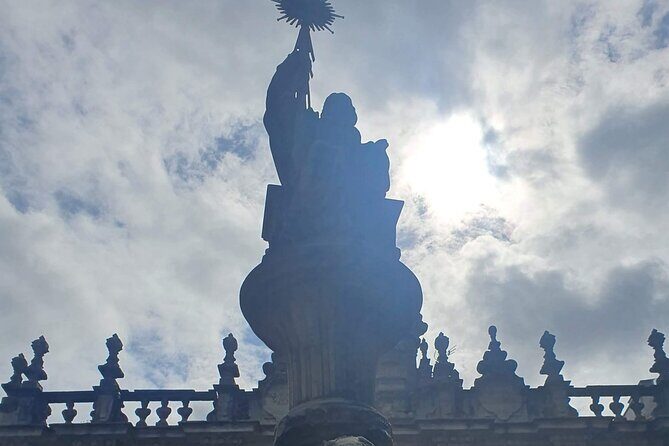 Santiago de Compostela and Cathedral Private Tour From Porto - Who Would This Tour Suit?
