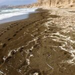 Santorini 5 Hour Custom Private Sightseeing Tour - Why Choose This Tour?