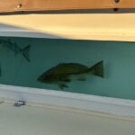 Santorini Fishing Private Cruise boat tour - BBQ, Snorkeling - Practical Tips