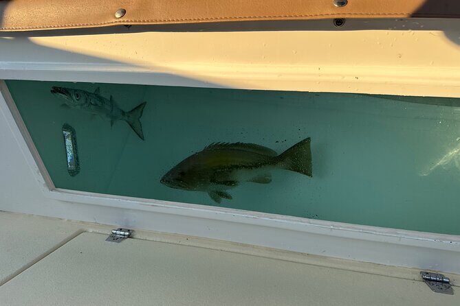 Santorini Fishing Private Cruise boat tour - BBQ, Snorkeling - Practical Tips